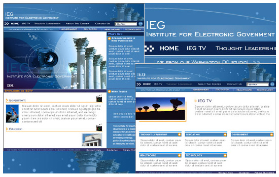 IBM IEG: Web Design, Graphic Design